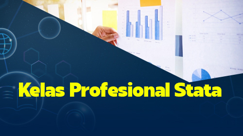 Gambar Kelas Kelas Profesional Stata